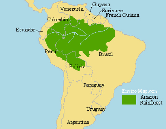 Where Is The Amazon Rainforest All About The Amazon Rainforest