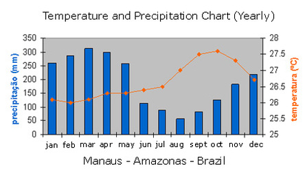 Rainforest Weather Chart